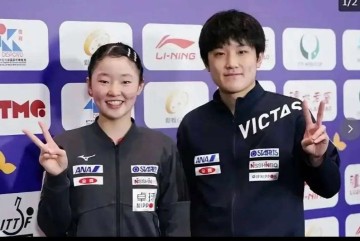 张本兄妹24小时火速叛逃!德甲三倍薪资挖角,樊振东81%胜率能保王座?