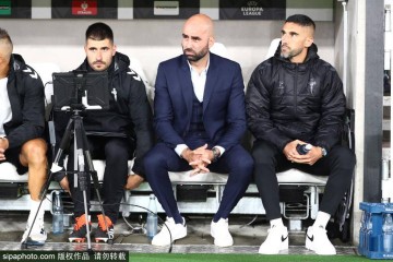 周雨千里奔赴德国，直播德甲见证樊振东拼搏的兄弟情深