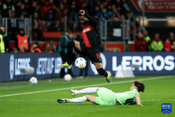 周三007 德甲:沃尔夫斯堡VS圣保利 专家比分预测