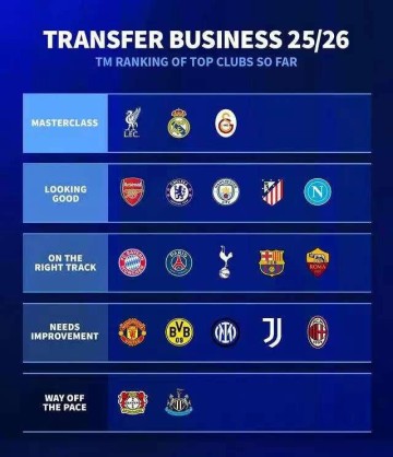 德甲夏季转会评级,加拉塔萨雷脱颖而出