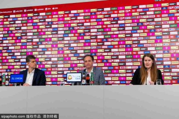 前沙尔克队长费尔曼宣布退役：37岁回顾德甲亚军之路，国家队梦未圆的背后故事！