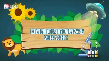 皇马补时绝杀利物浦，欧冠赛场再演惊天逆转