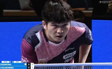 樊振东3-0完胜率队挺进欧冠8强，精湛表现引爆全场欢呼