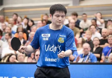 惊心动魄!樊振东22分钟横扫纽汀克,德甲首取3-0豪夺三连胜