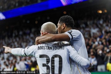 欧冠生死战!皇马客战本菲卡,马竞主场迎战黑马,西班牙三雄争夺晋级名额