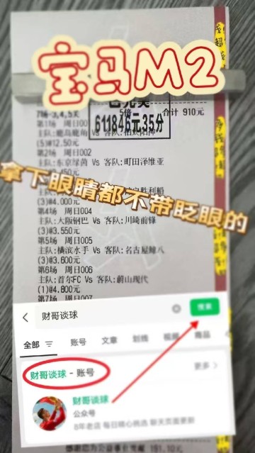 德甲:霍芬海姆VS柏林联合,专家推荐比分预测