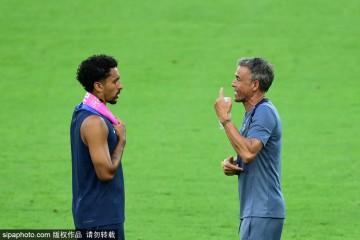 法甲巅峰对决:图卢兹主场迎战巴黎圣日耳曼