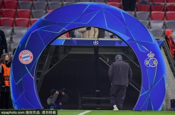 凯恩续约拜仁:从英超之星到德甲传奇的蜕变之路