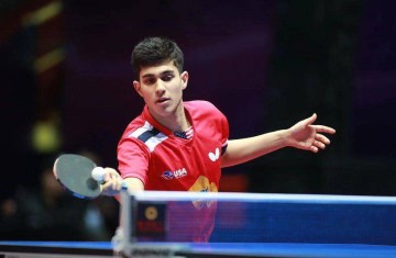 6天改写乒坛剧本！樊振东空降德甲，让欧洲俱乐部尝到顶流红利