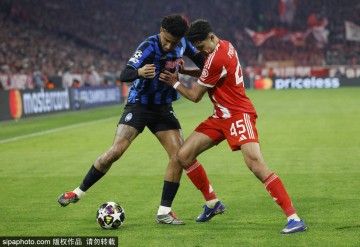 意甲独苗出局！欧冠-凯恩双响 拜仁4-1亚特兰大总分10-2晋级