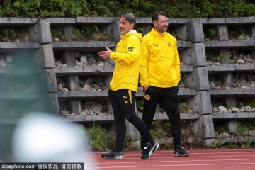 马特乌斯预测德甲新赛季:拜仁、多特、药厂、法兰克福前四的背后故事与战术解析