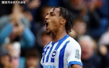 蓝军专挖海鸥？5000万英镑买入新中锋，三年在布莱顿这花了三亿欧