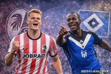 德甲:弗赖堡vs汉堡,北大王真的想要留在德甲吗