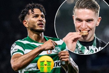 平替约克雷斯成功 葡体新锋霸39场33球7助 利物浦与纽卡展开争夺