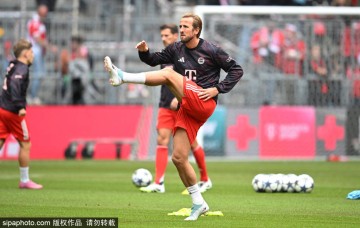 凯恩在德甲的神奇旅程:对阵斯图加特的6球背后藏着怎样的秘密?