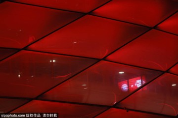 拜仁三叉戟狂飙：凯恩、迪亚斯与奥利塞联手轰进53球，德甲最强锋线？