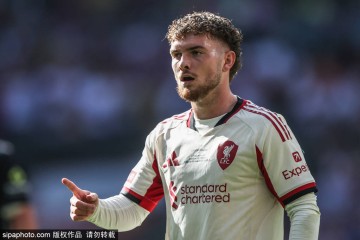 维拉锁定埃利奥特：3500万欧强制买断背后的战略考量与未来展望