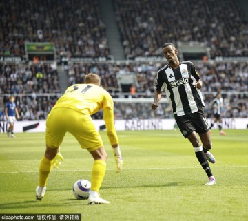 曼联的吸引力：本杰明·谢斯科的选择令阿兰·希勒尴尬