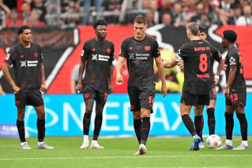 周六016德甲前瞻:霍芬海姆主场冲欧火力全开,勒沃库森客场复仇遇伤病阻击