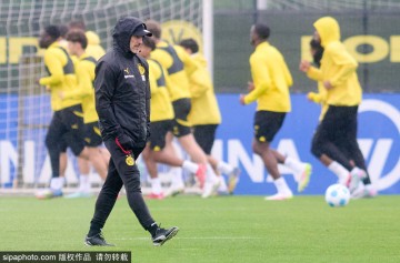 多特蒙德挑战皇马!巴西新星揭秘:阿隆索是关键,我们要创造奇迹